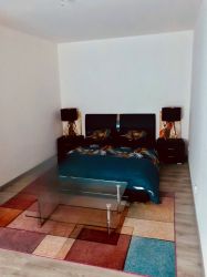 APPARTEMENT - RAON L'ETAPE -  2 pices (60 m) :: Loyer mensuel : 410,00 €uros