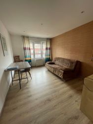 APPARTEMENT - SAINT-DIE - 4 pi�ce(s) - 110 m&sup2; :: Loyer mensuel : 920.00&euro;