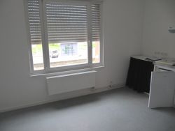 APPARTEMENT - SAINT DIE DES VOSGES -  1 pices (30 m) :: Loyer mensuel : 350,00 €uros