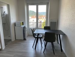 APPARTEMENT - SAINT-DIE -  2 pices (30 m) :: Loyer mensuel : 450,00 €uros