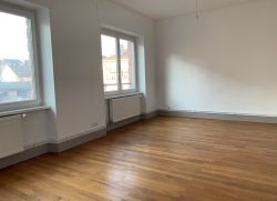 APPARTEMENT - SAINT-DIE -  2 pices (52 m) :: Loyer mensuel : 485,00 €uros